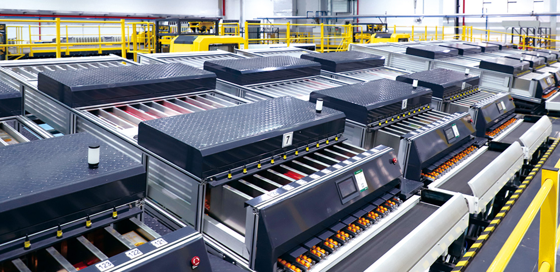 8868体育 - 热门体育赛事在线平台